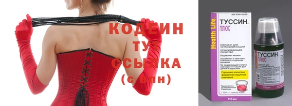 соль ск Коряжма