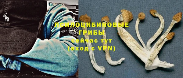 ешки Козельск