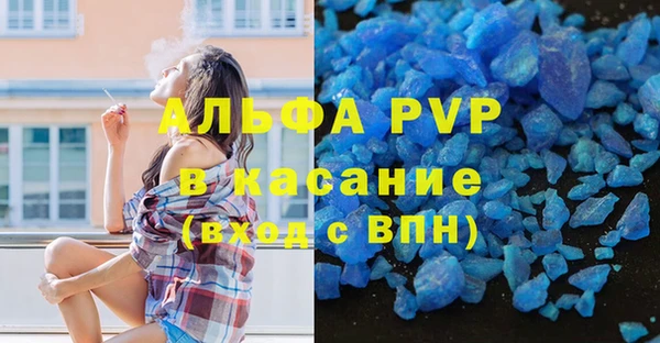 сатива Козловка
