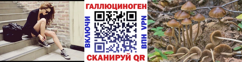Купить где  Самара  Псилоцибиновые грибы Cubensis 